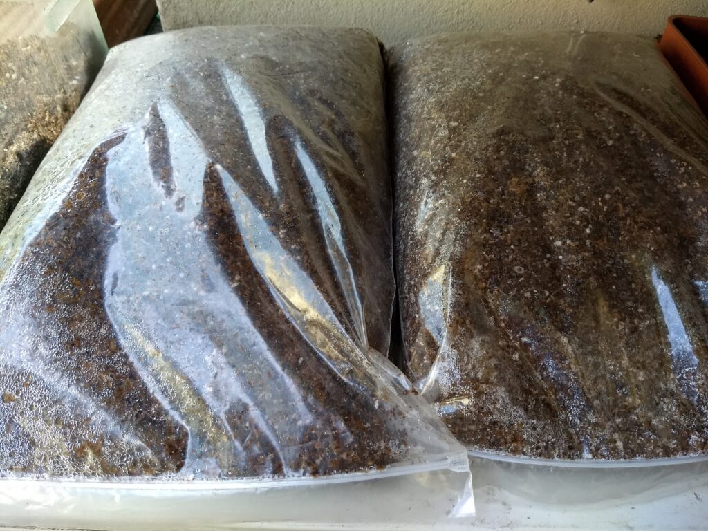 Sustrato 1,5 L Con Perlita De Gran Calidad Para Plantas Carnívoras