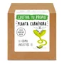 Kit De Siembra Exitoso Completo De Plantas Carnívoras